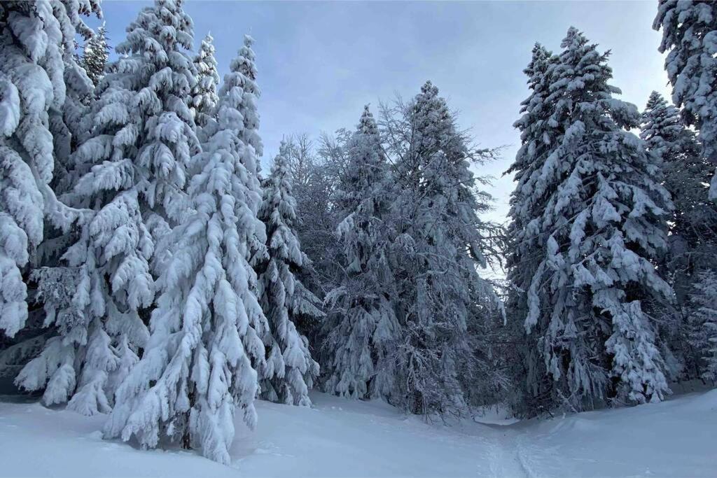 אנסי Le Boheme Beau T2 Vue Lac & Montagnes + Garage מראה חיצוני תמונה